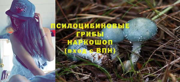 мдпв Медногорск